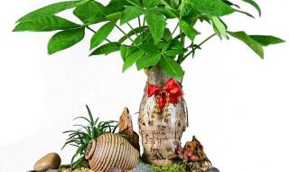 转运微信头像 微信头像2022年最新版图片