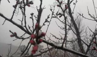 清明假期全国天气预报地图
