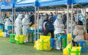 天津明天全员核酸检测吗预计多久完事 天津辟谣明日全市核酸大筛